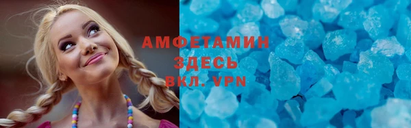 СК Алексин