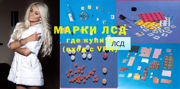 винт Алзамай