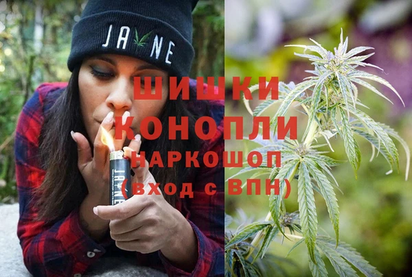 винт Алзамай