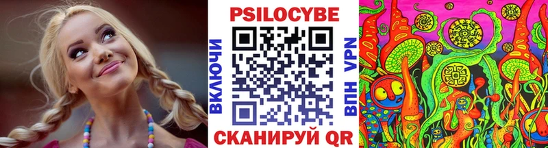 Псилоцибиновые грибы Cubensis  Тара 